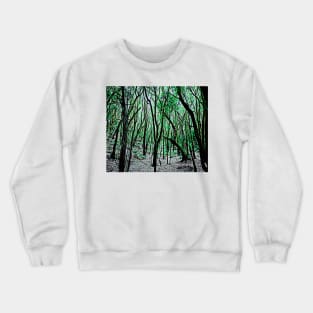 garayonay national park la gomera Crewneck Sweatshirt